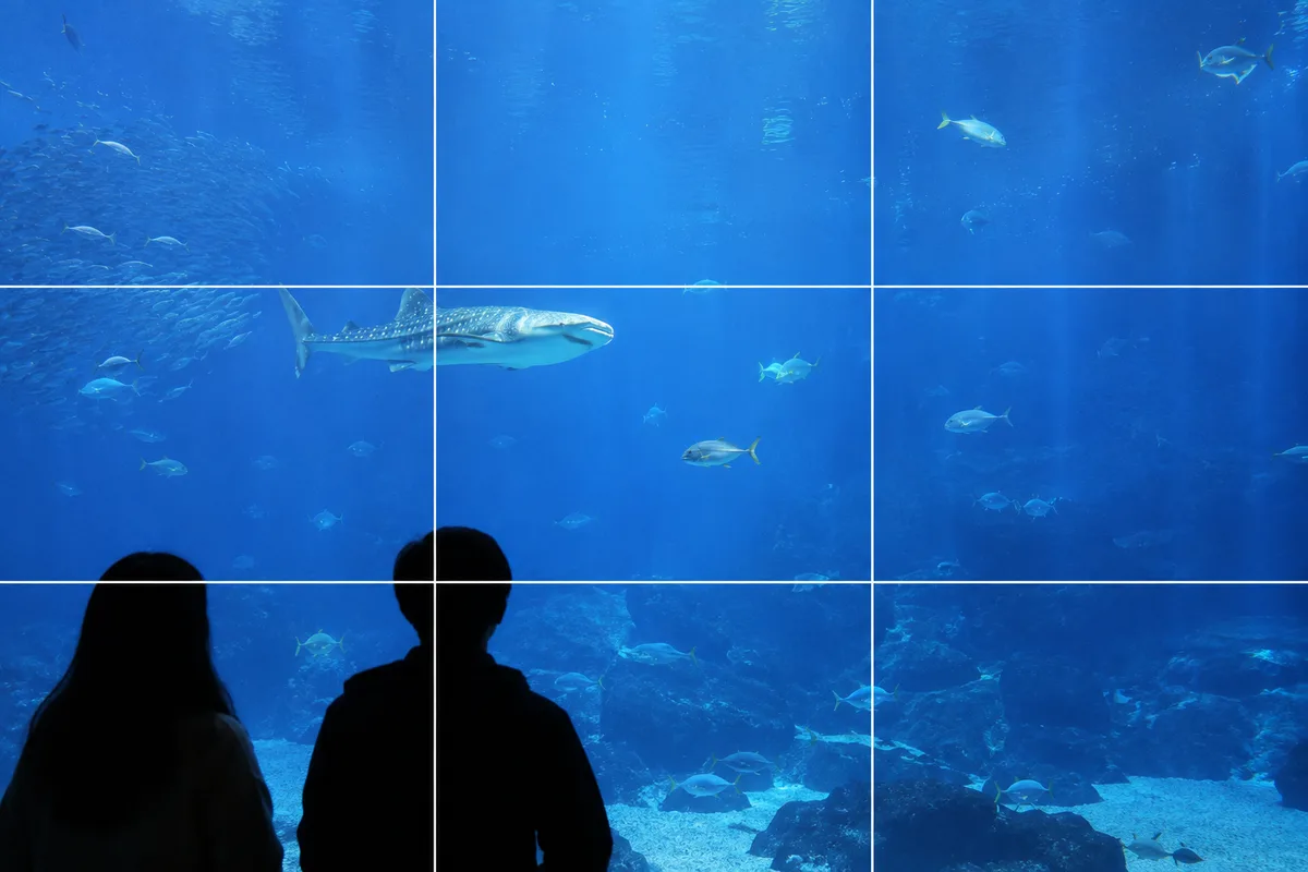 水族館の大水槽の作例。ガラス際から撮り、青い水を余白として広く残し、泳ぐ魚を三分割の交点に置いた構図イメージ。