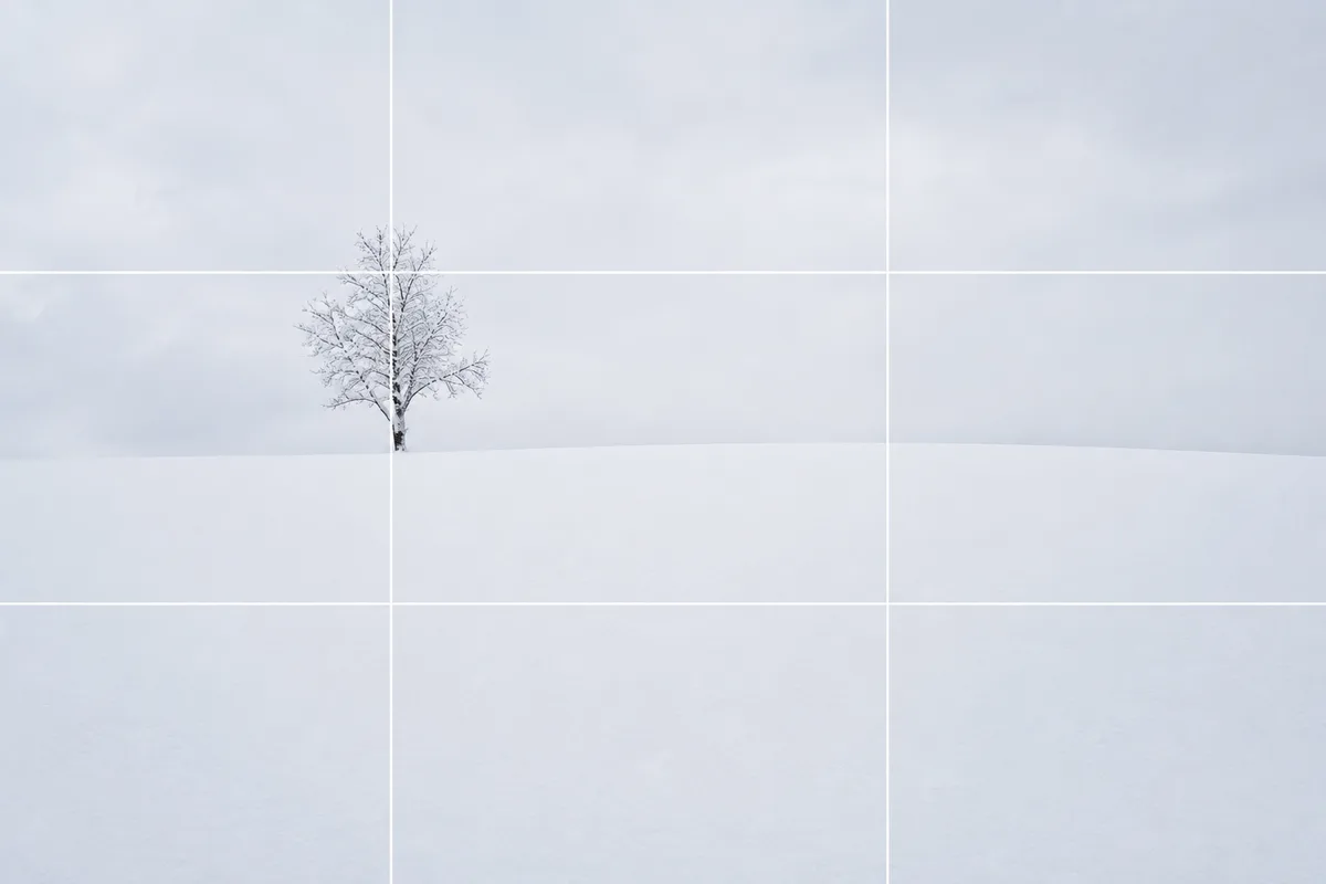 余白構図の作例。一面の雪原を広い余白として使い、雪をかぶった木を交点に置いた構図イメージ。